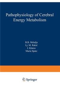 Pathophysiology of Cerebral Energy Metabolism