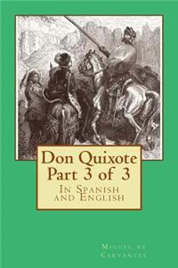 Don Quixote Part 3 of 3