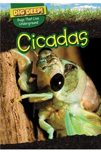 Cicadas