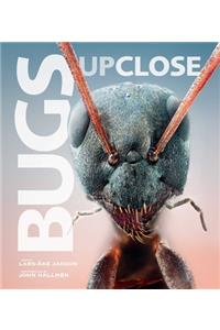 Bugs Up Close