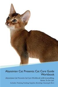 Abyssinian Cat Presents