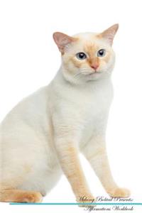 Mekong Bobtail Affirmations Workbook Mekong Bobtail Presents