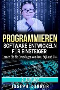 Programmieren