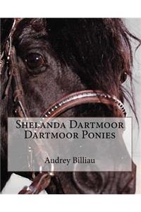 Shelanda Dartmoor Dartmoor Ponies