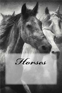 Horses