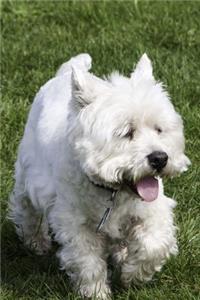 Wonderful White Westie Puppy Dog Pet Journal