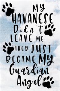 My Havanese Didn't Leave Me They Just Became My Guardian Angel