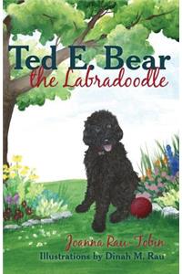 Ted E. Bear the Labradoodle