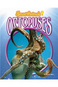 Octopuses