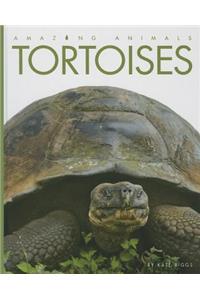 Tortoises