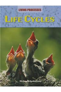 Life Cycles