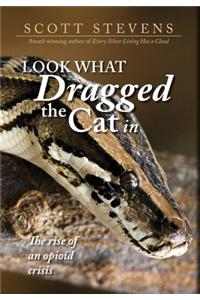 Look What Dragged the Cat In