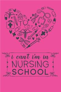 I Can't I'm In Nursing School