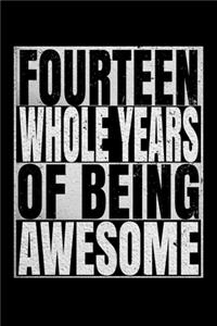 Fourteen Whole Years Of Being Awesome