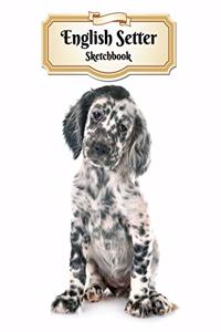 English Setter Sketchbook