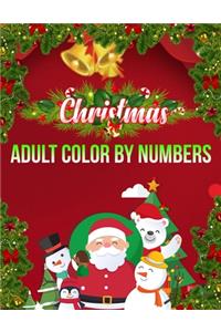 Christmas Adult Color By Numbers