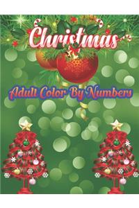 Christmas Adult Color By Numbers