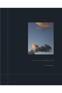 The Nature of Breathing in Salt