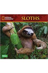 National Geographic Sloths 2018 Wall Calendar