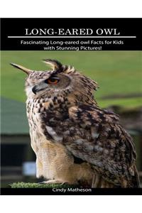 Long-Eared Owl: Fascinating Long-Eared Owl Facts for Kids with Stunning Pictures!