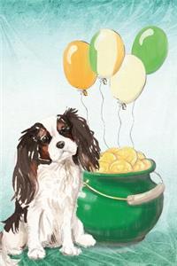 King Charles Spaniel