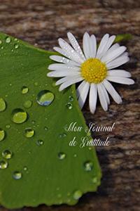 Mon Journal de Gratitude