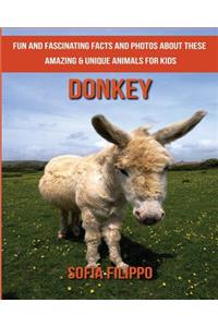 Donkey