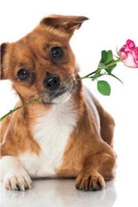 Cute Dog April Notebook & Journal. Productivity Work Planner & Idea Notepad