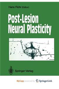 Post-Lesion Neural Plasticity