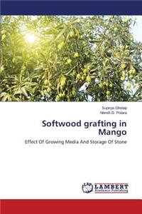 Softwood Grafting in Mango