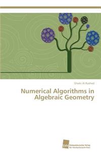Numerical Algorithms in Algebraic Geometry
