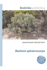 Banksia Sphaerocarpa