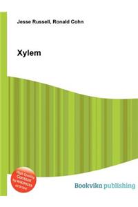 Xylem