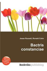 Bactris Constanciae