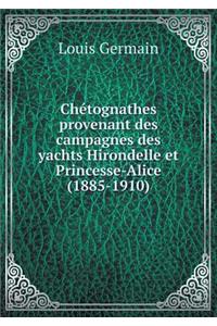 Chétognathes provenant des campagnes des yachts Hirondelle et Princesse-Alice (1885-1910)