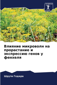 Влияние микроволн на прорастание и экспре