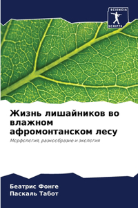 Жизнь лишайников во влажном афромонтанск