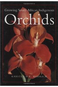 Growing South African Indigenous Orchids