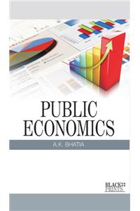 Public Economics