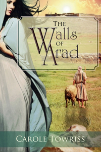 Walls of Arad