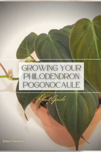 Growing Your Philodendron Pogonocaule