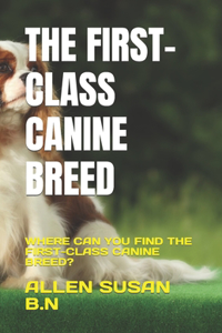 First-Class Canine Breed