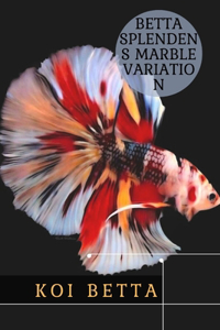 Koi Betta