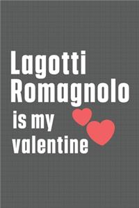 Lagotti Romagnolo is my valentine