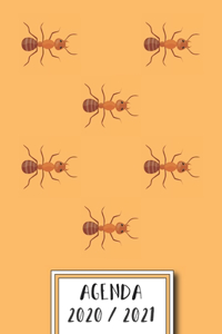 Agenda 2020 / 2021