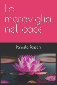 La meraviglia nel caos