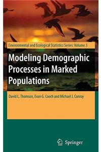 Modeling Demographic Processes in Marked Populations