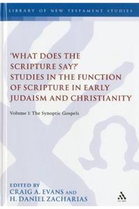 'What Does the Scripture Say?' Studies in the Function of Scripture in Early Judaism and Christianit