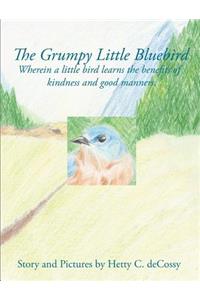 Grumpy Little Bluebird
