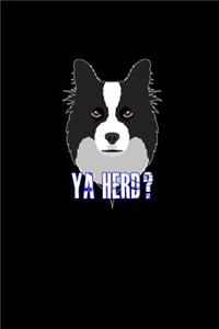 Ya Herd?